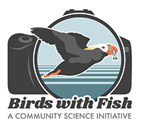 Birds with Fish: A Community Science Initiative