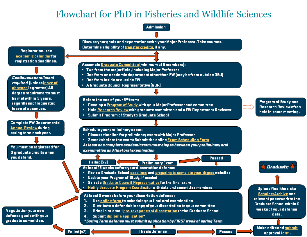 PhD Program Timeline Flowchart