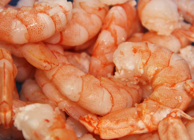 pile of pink shrimp. Image credit: manfredrichter via Pixabay