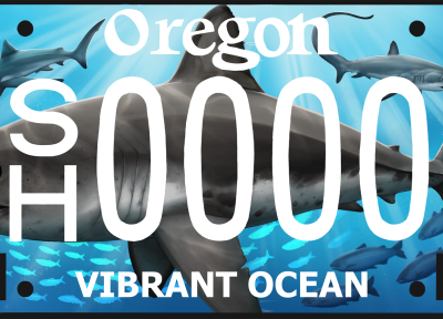 OSU Shark License Plate