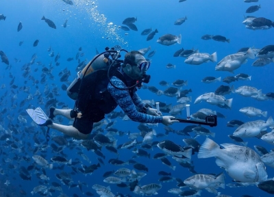 Scott Heppell (foreground) with a stereo video camera rig while Brice Semmens (background) takes pictures for facial recognition of Nassau grouper.