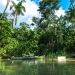 Wetlands in Belem do Para, Brazil. Credit: Filipe Frazao/Alamy Stock Photo.