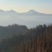 The H.J. Andrews Experimental Forest, south and east of Eugene, Oregon, in June 2025. The Lookout Fire burned three quarters of the forest in 2023, started by a lightning strike. (Matthew G. Betts)