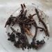 Jumping worms found in Umatilla County in 2020.  Credit: Karen Wagner