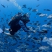 Scott Heppell (foreground) with a stereo video camera rig while Brice Semmens (background) takes pictures for facial recognition of Nassau grouper.