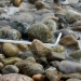Straw in Ocean. Photo: Daniel Hentz, ©Woods Hole Oceanographic Institution.