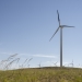 Wind turbine blade painted black at a wind farm near Glenrock, Wyoming operated by PacifiCorp. Credit: PacifiCorp. Wind turbine blade painted black at a wind farm near Glenrock, Wyoming operated by PacifiCorp. Credit: PacifiCorp.