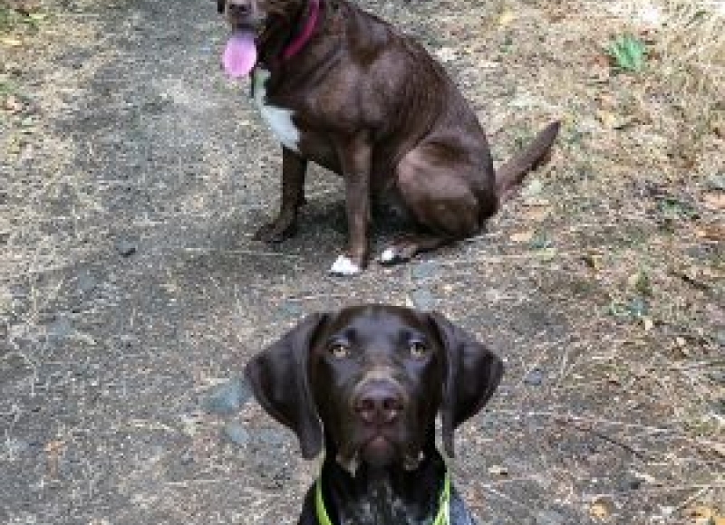 Ruby and Tusc Ruby and Tusc