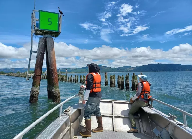 Seabird Oceanography Lab members studying birds from the boat