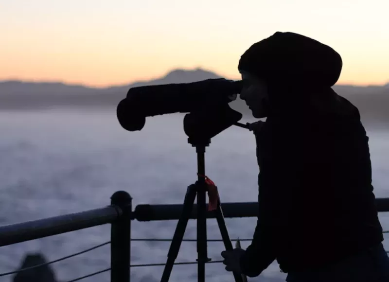 studying ocean birds through a telescope
