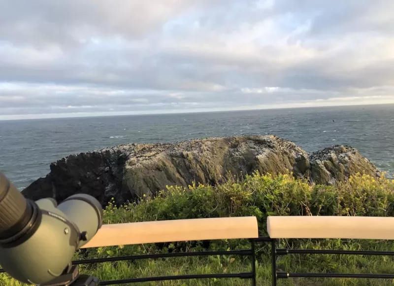 telecope pointing at the ocean