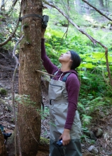 Corvallis student sets a camera trap in HJ Andrews Experimental Forest.